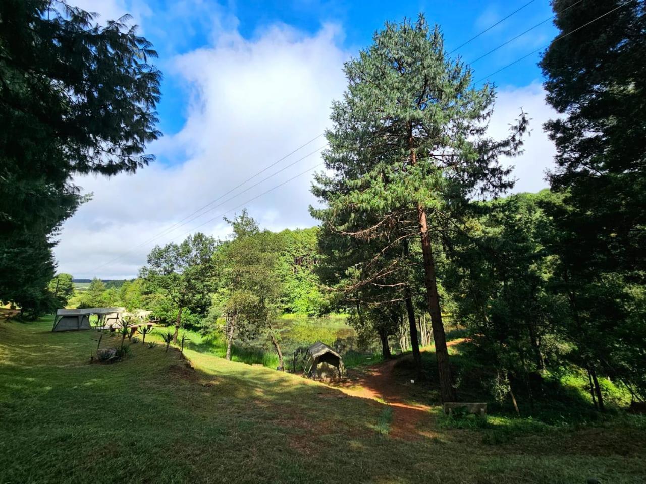 Silver Mist Resort, 哈内茨堡 外观 照片