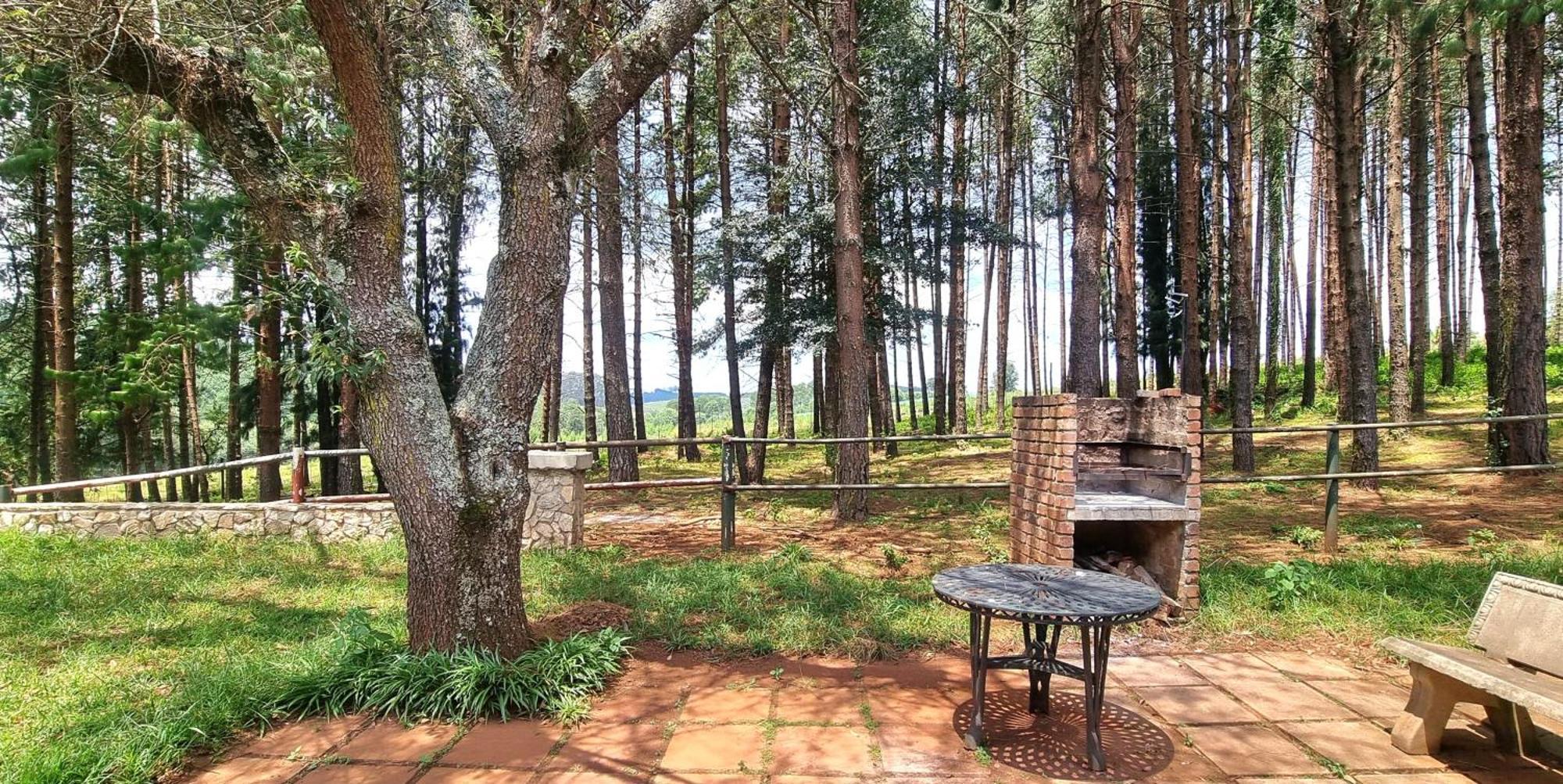Silver Mist Resort, 哈内茨堡 外观 照片